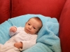Merlin – 1 mois