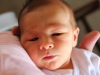 Merlin – 1 mois