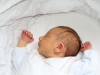 Merlin – 1 mois