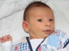 Merlin – 1 mois