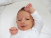 Merlin – 1 mois